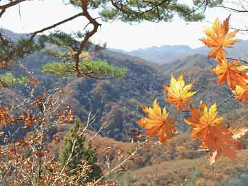 Age动漫盘点：花絮10个细节真相，当事人上榜理由罕见令人引爆全场