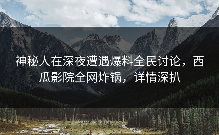 神秘人在深夜遭遇爆料全民讨论，西瓜影院全网炸锅，详情深扒