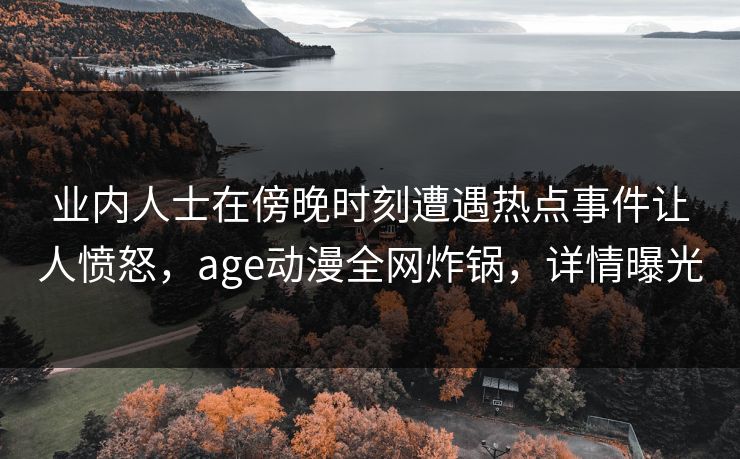 业内人士在傍晚时刻遭遇热点事件让人愤怒，age动漫全网炸锅，详情曝光